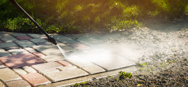 Animal Enclosure Cleaning in Warwick, RI